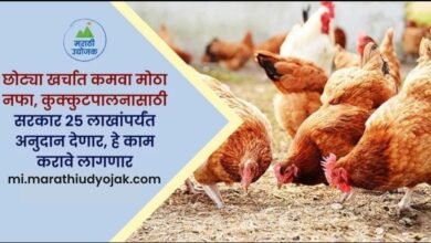 Poultry Farming Scheme