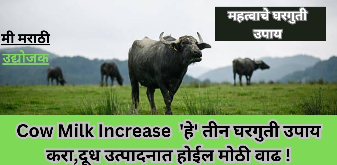 Cow Milk Increase