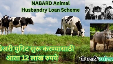 NABARD Animal Husbandry Loan Scheme