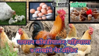 Gavran Poultry Farming Side Business